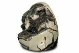 Free-Standing, Polished Septarian Geode - Black Crystals #302876-2